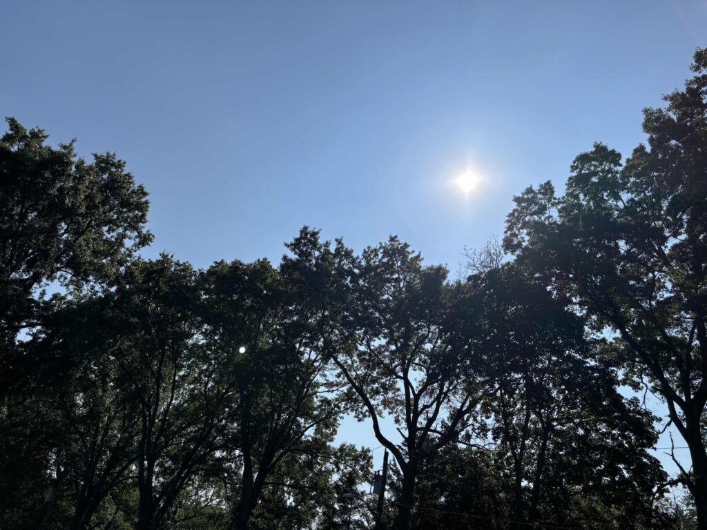 Eighty Degree Days at GWC in 2024