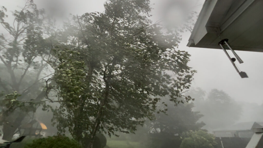 Yearly Rainfall by Month