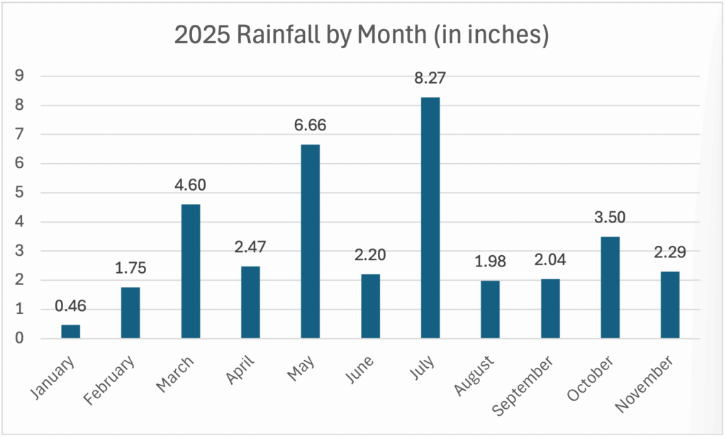 2025 Rainfall by Month